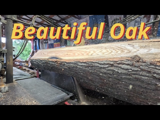 Beautiful red oak # 925