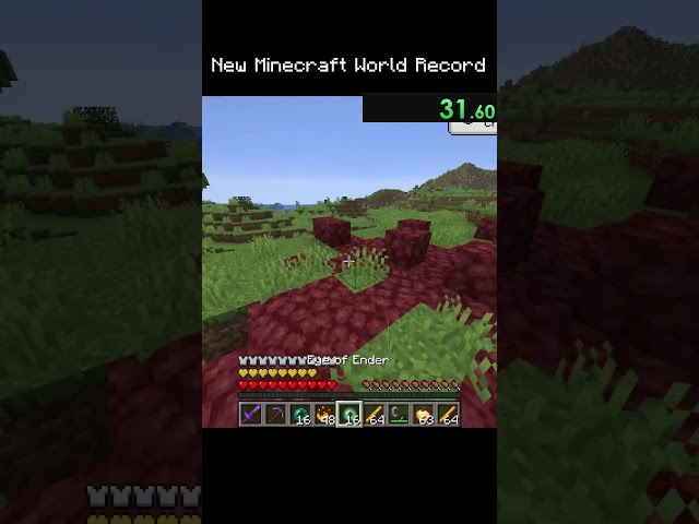 Totally legit speedrun 🏃‍♀️ #minecraft #gaming #speedrun  #fakespeedrun #netherite #enderdragon