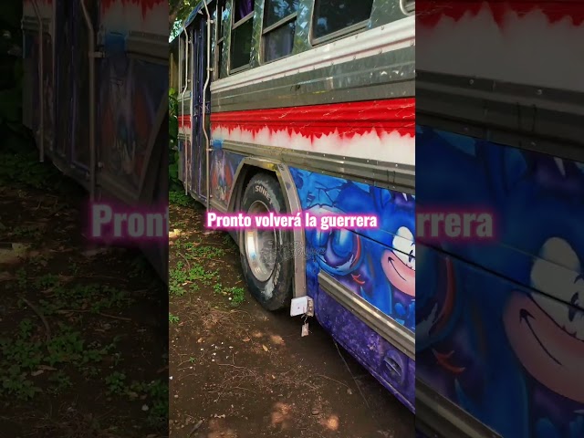 Pronto volverá