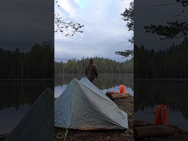 Morning By The Lake In The Woods #shorts