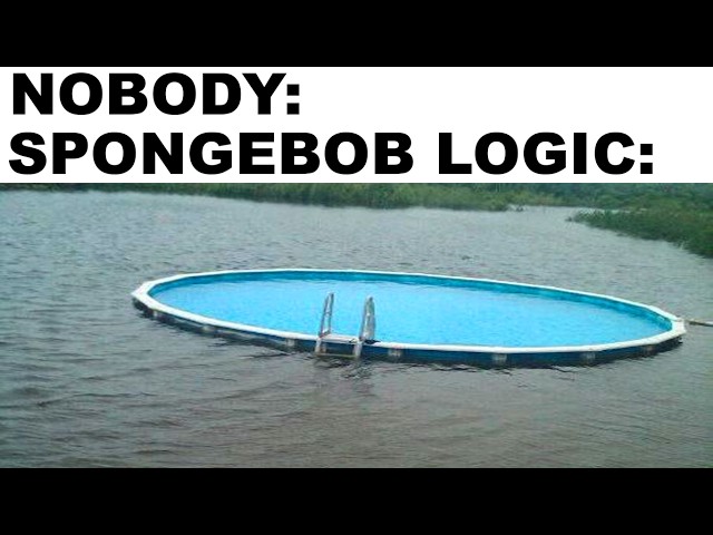 Spongebob Logic That Makes No Sense