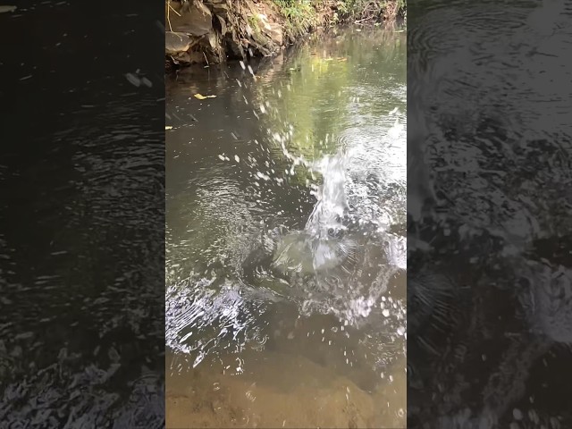 water #water #pani #slowmotion #shorts #treending #viralshorts