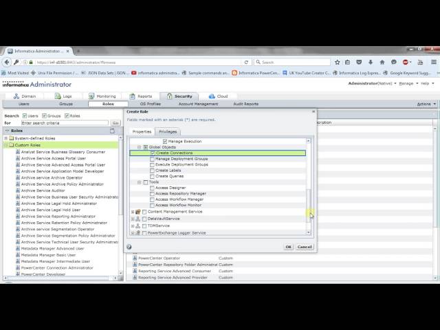 Informatica Administration Training Tutorial 11 - Custom Role Creation in Administrator Console