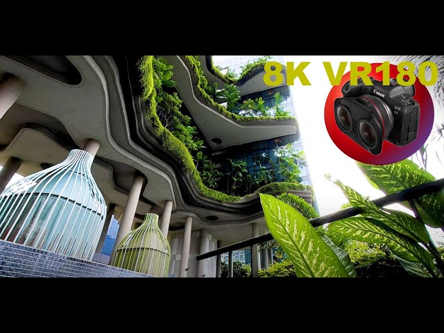 8K VR180 5TH FLOOR GARDEN WALKWAY AT PARKROYAL PICKERING SINGAPORE 5 star luxury 3D (Travel/ASMR)