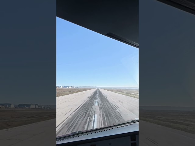 ILS runway blocked by bird strike | A320 visual approach #aviation #landing #a320
