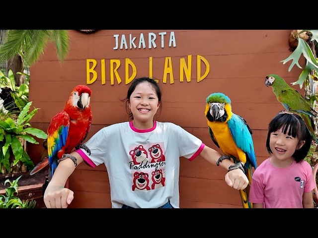 Playing with Macaws at Jakarta Bird Land