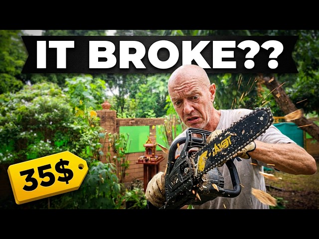 Ep.12 - I Bought the Cheapest Chainsaw... Big Mistake?
