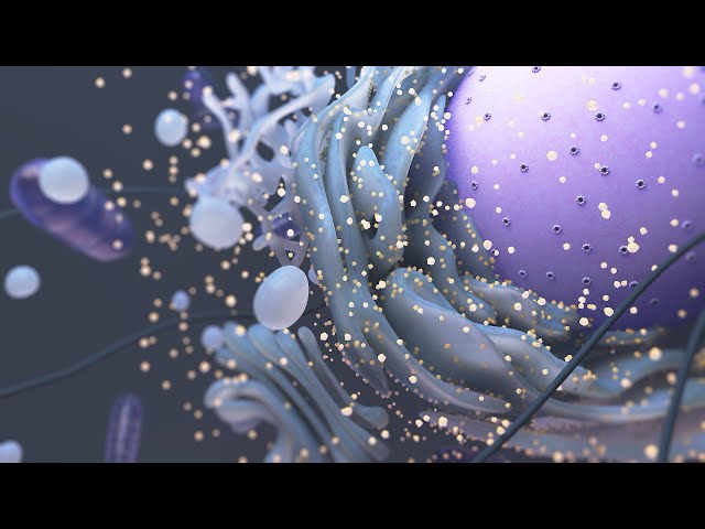 Extra-Ribosomal Function of Ribosomal Proteins - The 5sRNP-MDM2-p53 Pathway