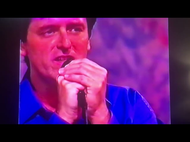 “ All Shook Up “ Johnny Cupples 1997