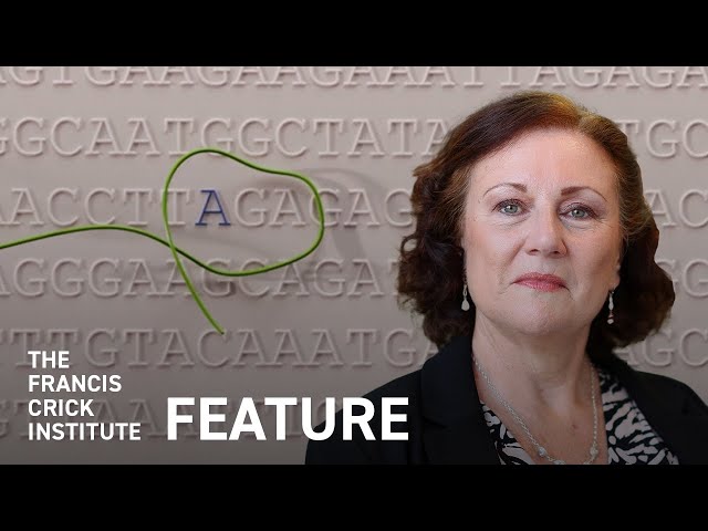How Science Freed Kathleen Folbigg