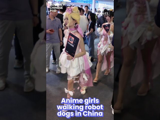 Anime girls walking robot dogs in China😂