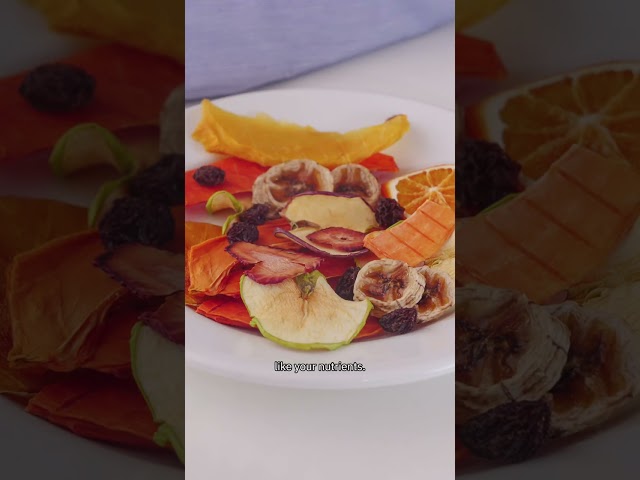 SIT Labventures Ep 3: Food Pilot Plant