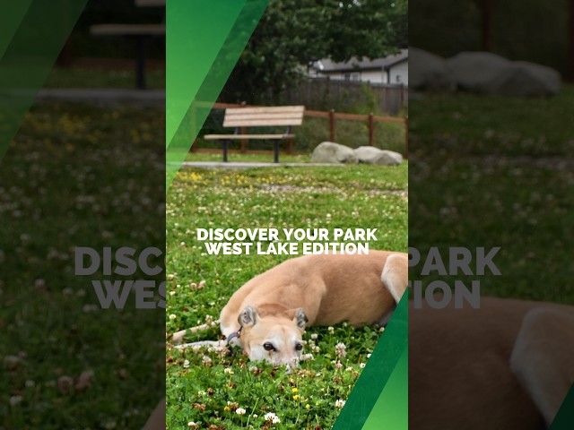 Discover West Lake Park in Lake Stevens