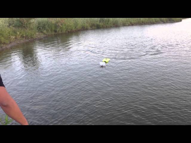 Drag racing - Motley Crew by Aquacraft VS Miss Geico