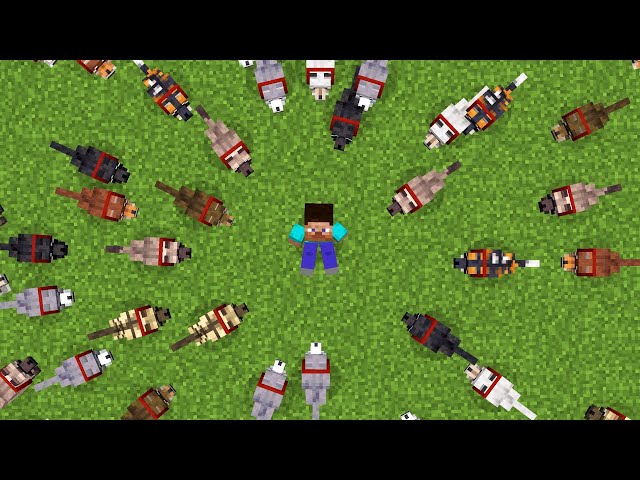Taming all 63 Wolf Variants in Hardcore