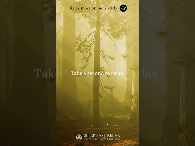 Find serenity in the whispers of nature 🍃✨ #NatureBeauty #PeacefulVibes #MeditationMusic #shorts