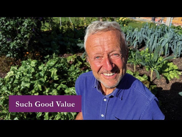 Affordable No Dig: More Food from the Same Compost