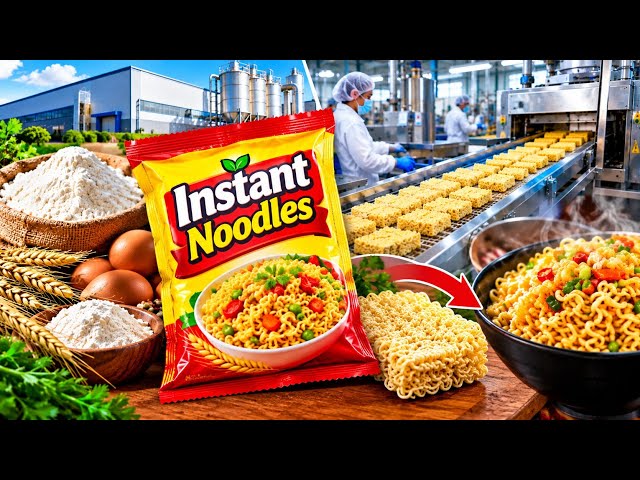 How Instant Noodles Are Made in a Factory 🍜 | Inside the Noodle Manufacturing Process