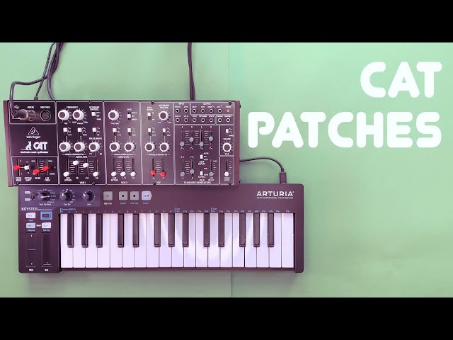 Behringer Cat Sound Demo and Patch Tutorial (No Talking)