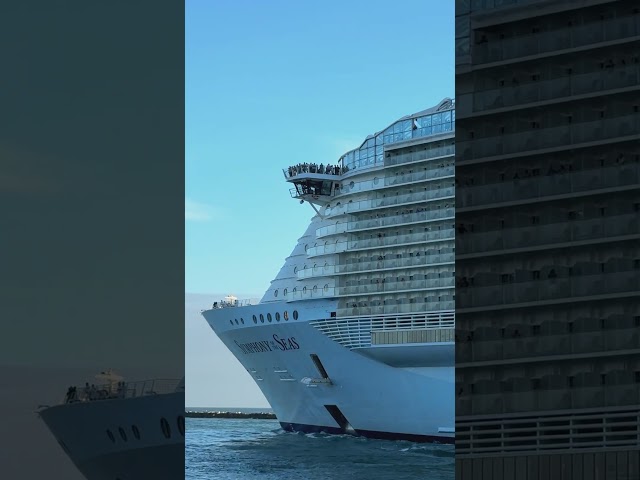Symphony of the Seas cruise ship #miami #portmiami #cruiseship