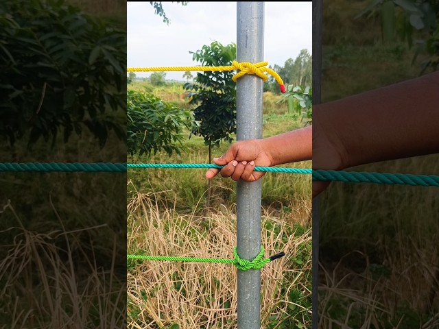 This Knot is Very Useful 💯
