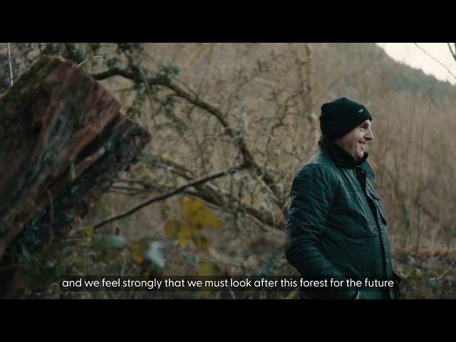 The FSC certification journey of smallholders in Wales – Cwmni Nod Glas