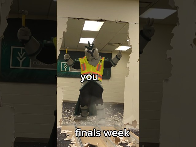 Because we just know you're crushing it. 💪 Good luck, Titans!