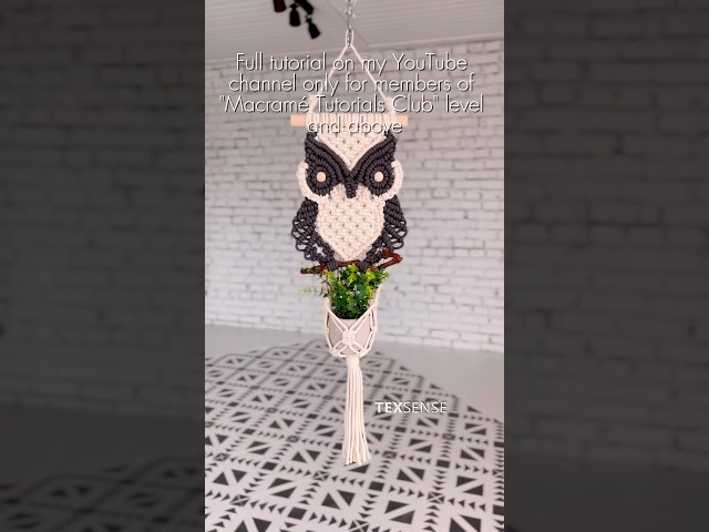 DIY🦉More exclusive macramé tutorials at "macramé tutorials club"  #macrameowl #macrame