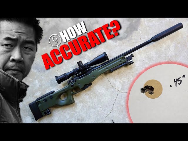 AI Arctic Warfare 7.62mm "AWP" - How Accurate is it? Feat Dear Air Nomax 33 / S&B PM II