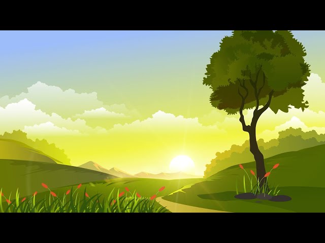 4K Nature Scene With Sunrise | Free Stock Video