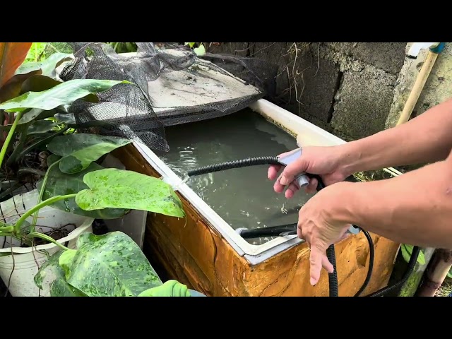 African Hito sa Ref Tub! 