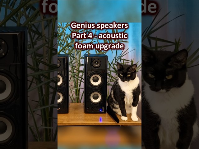 Genius speakers upgrade, part 4 - acoustic foam upgrade #acoustic #speaker #upgrade