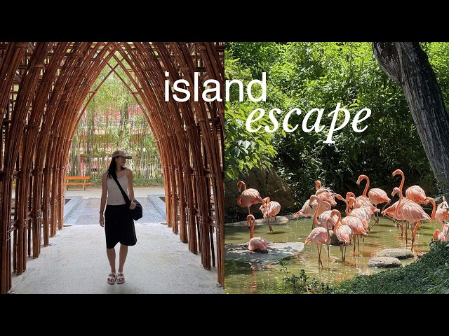 to be somewhere warm, with nowhere to be (a phu quoc travel diary)