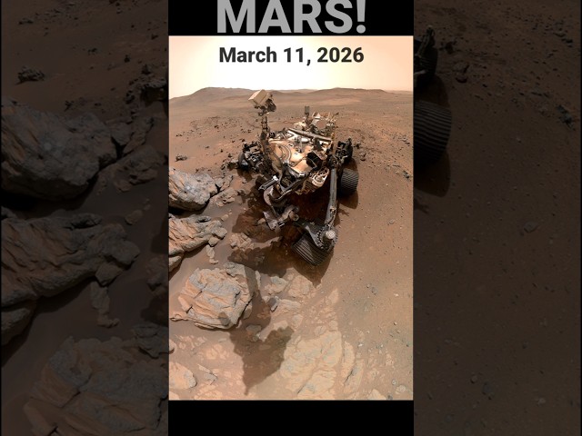 Selfie On Mars! Perseverance Rover #mars #spacescience #shorts