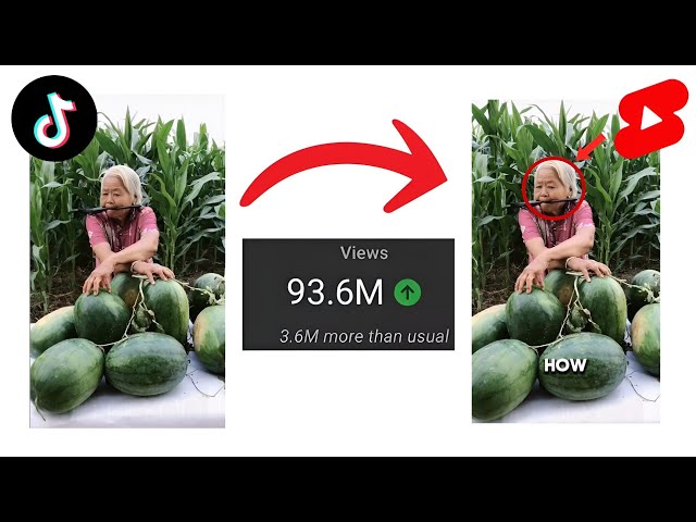 How I made a Viral Channel in 5 minutes