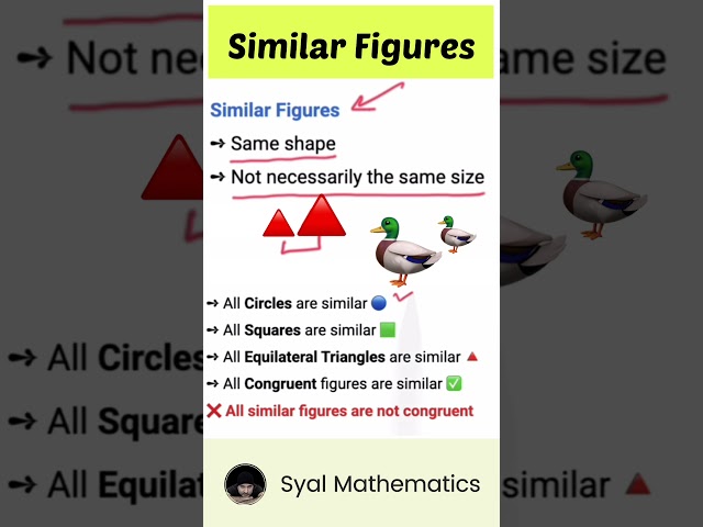 📐✨ What Are Similar Figures? | Class 10 Maths Shorts ✨📐