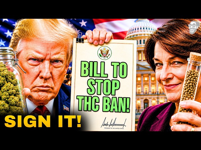 THC, SEEDS and Hemp SAVED?! ...Bill Heads to TRUMP'S Desk TO SIGN! 😱