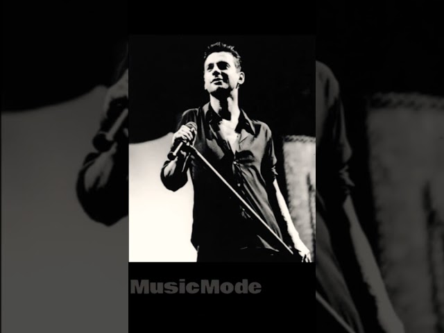 Dave Gahan ft Alan Wilder - Polaroid (Curve Cover)