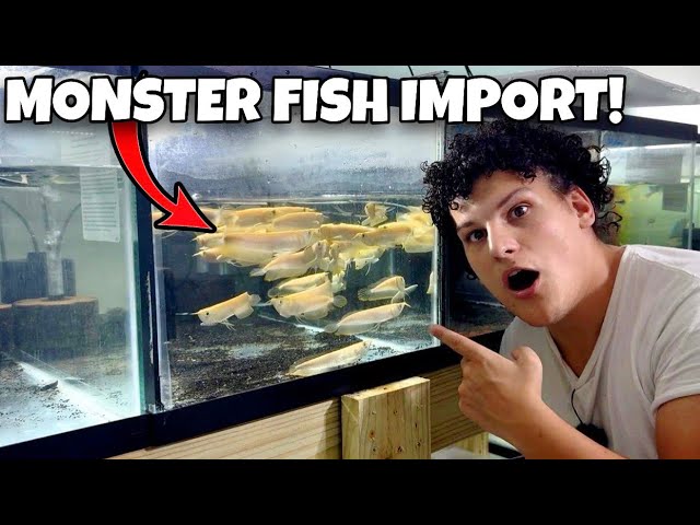 The RAREST Fish Just Arrived… This Shipment Is Insane!
