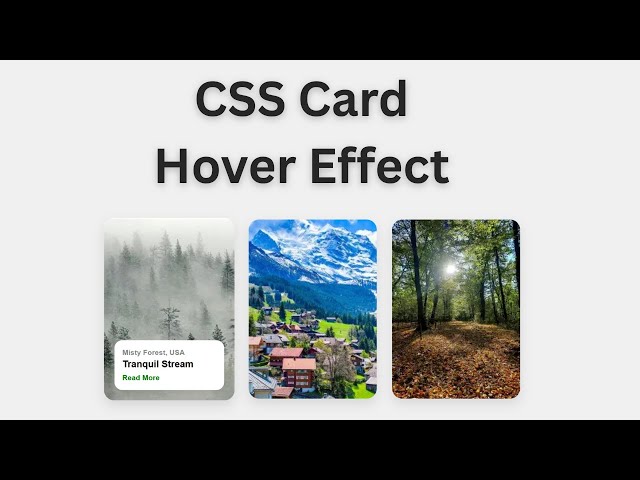 Image Hover Cards with Text Overlay using HTML & CSS