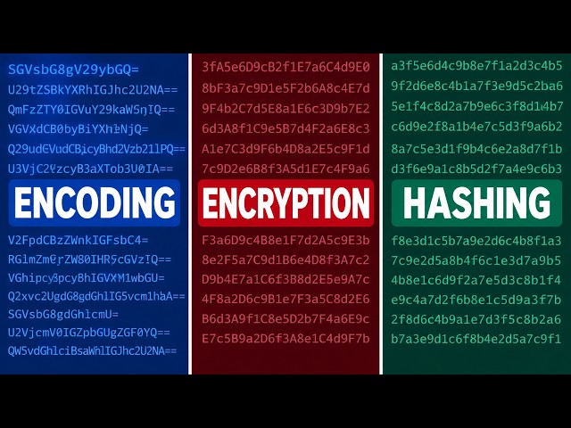 Encoding vs Encryption vs Hashing — Confusing These Gets You Hacked