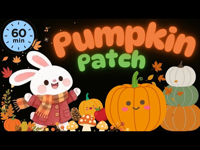 At the Pumpkin Patch | 1 Hour Baby Sensory | PopPopBaby