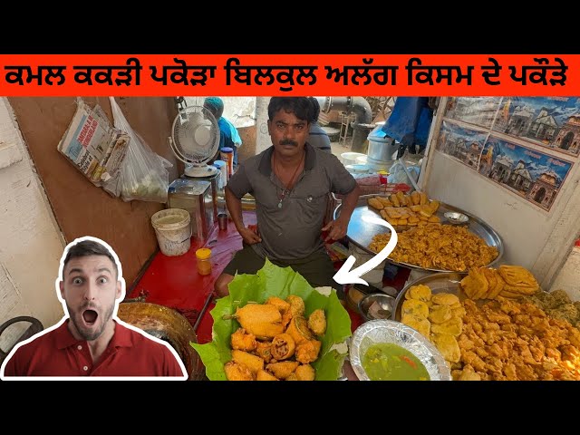 A completely different type of pakora | Haridwar's famous pokada king | kamal kakri pakora