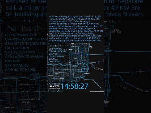 DOMESTIC VIOLENCE – SE 1st Ave | Miami PD #Shorts