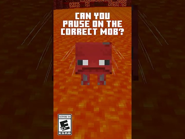 MATCH THE EYES WITH THE MOB!