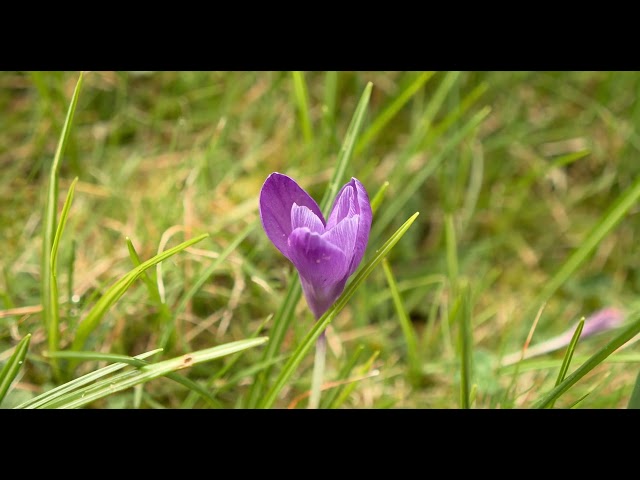 SPRING AT BEAULIEU 2025