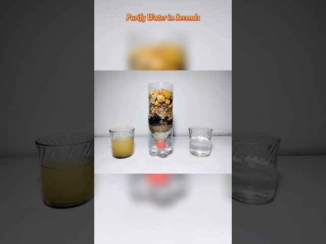 Water Purification Working Model #DIY #scienceproject #shorts