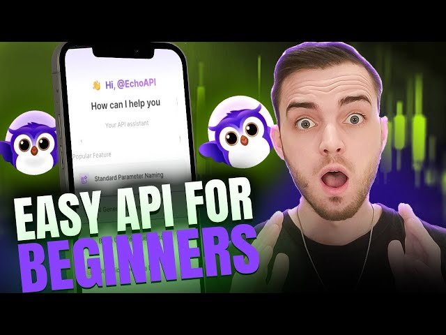API for Beginners How APIs Work + Easy API Testing with Echo API