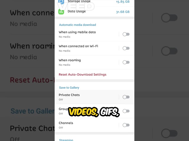 Telegram Downloads Everything (How to Stop It)