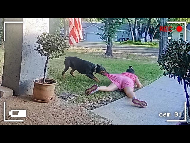 Best Fails of the Month 😂 Try Not to Laugh Challenge